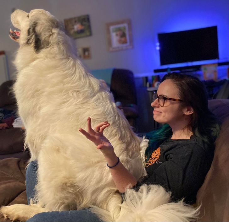 dd4bc8581e9277c85c2d1d963b