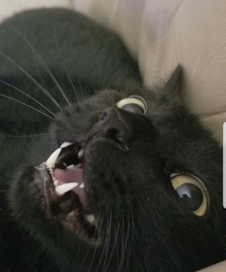 dd4dc250eb8cdbc6c58688eeac-1