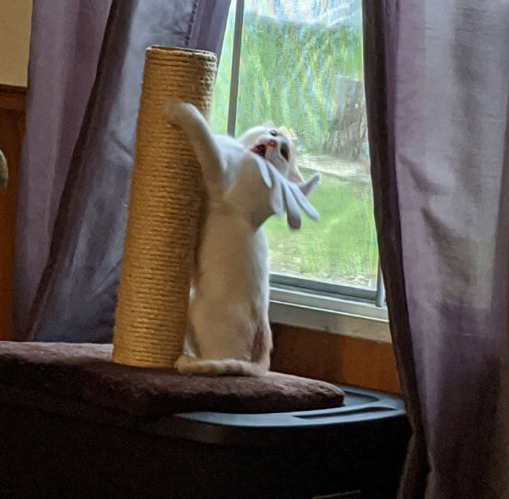 dd4df659f29a792a67b08485bd