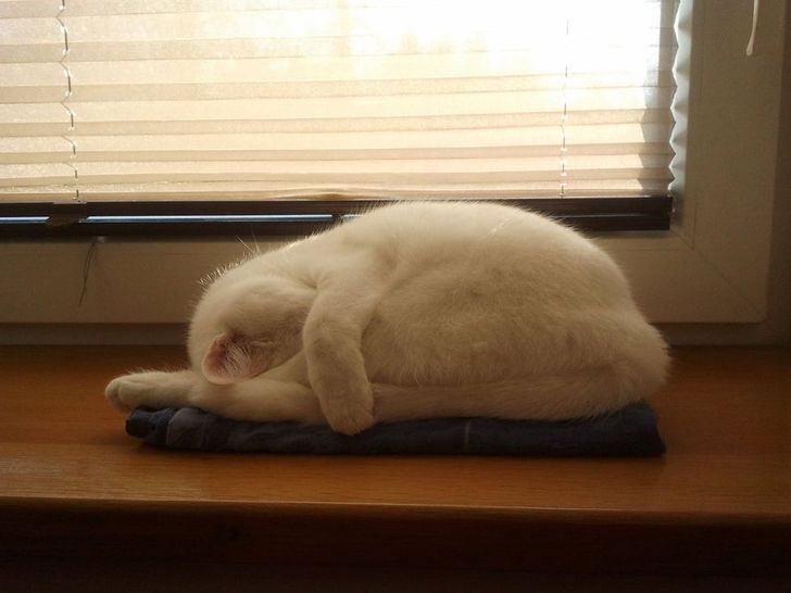 dd517254b59249746218dcd6b3