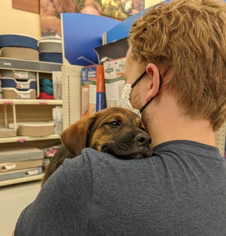 dd52da5706adb8d44914e85cc4