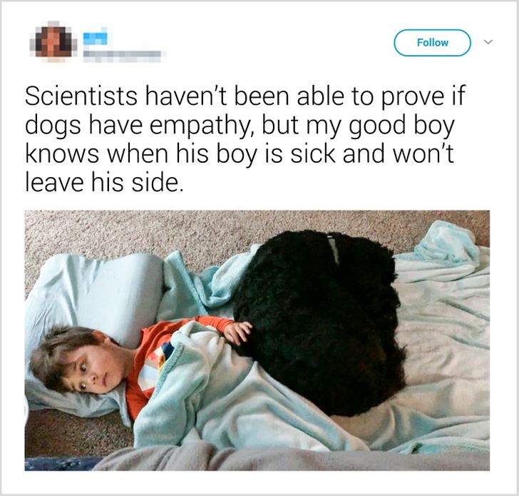 dd58115b8a8bbe3d2befa2e278