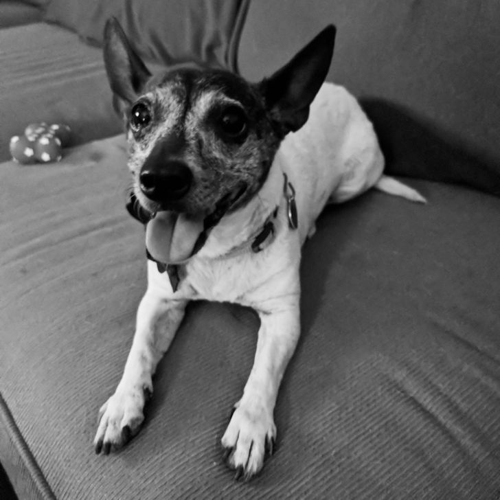 dd60dd59d49adc17b387181eaf