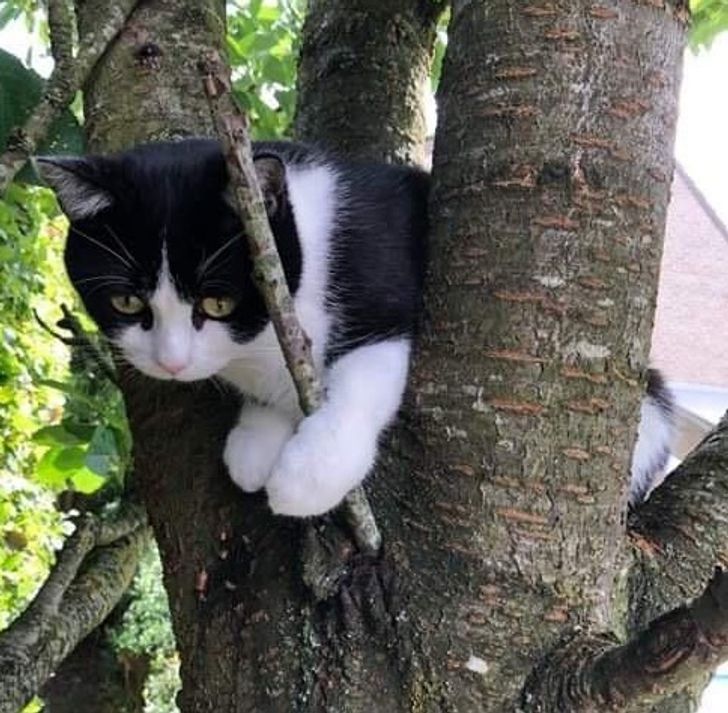 dd616f586783ad4230c88d9c14