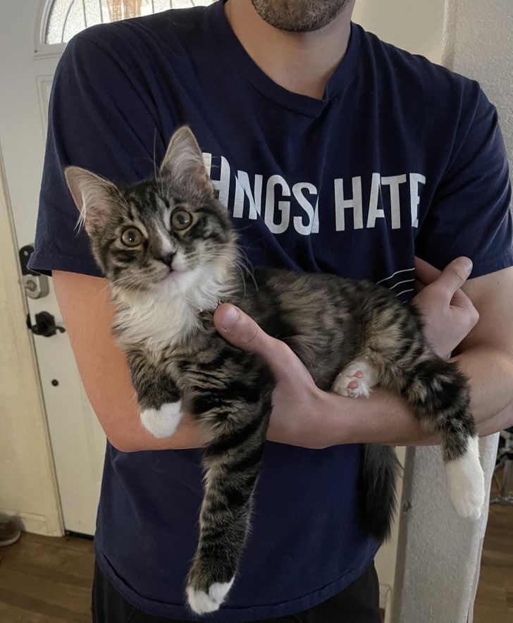 dd620559deaf9620b49cfe16bd dd620559deaf9620b49cfe16bd