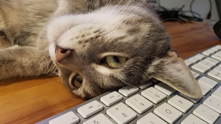 dd647c52b190d8178d17915ffa