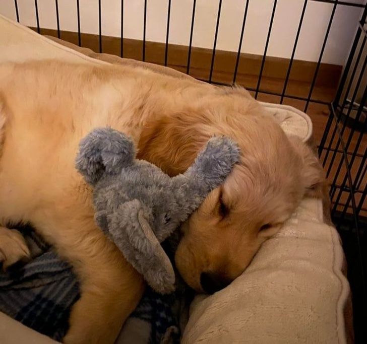 dd67e65374a824abe85bdc61db