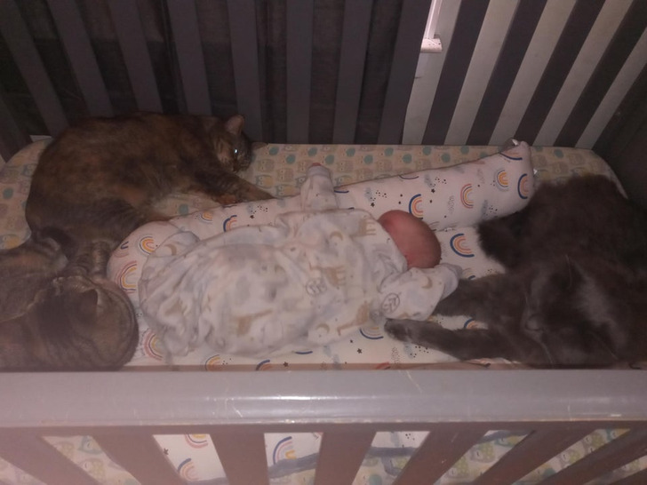 dd6fdd5338b975a6424c1e60ab