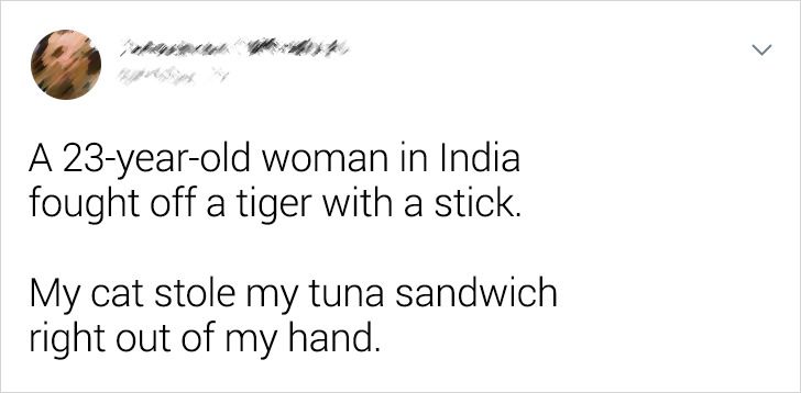 dd7eca5733a3b84f921d2c59c3