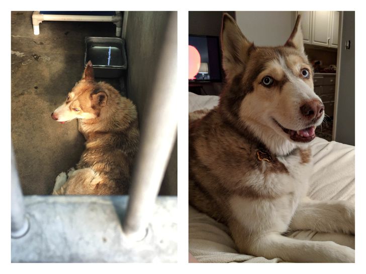 dd807f547f9b23abbed114cfdf