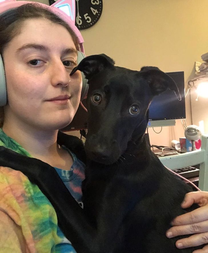 dd82225f3495d4ef9016763400