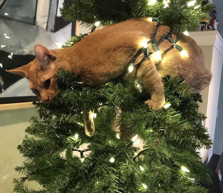 dd82c750c19f0f2214ec3214ef