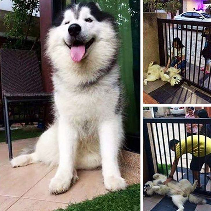 dd87fd5cb28c5e749ee3b4a07d