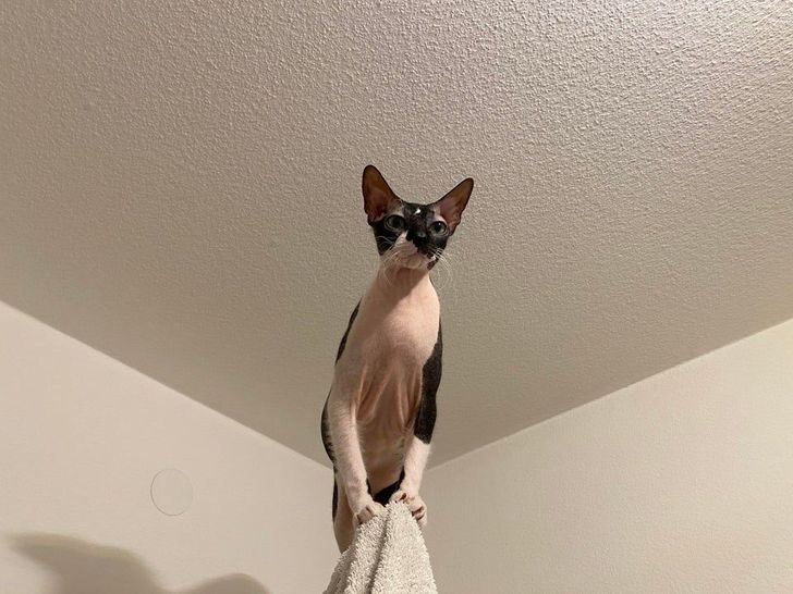 dd8a89512a81b9427bd2320dbb