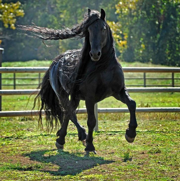 dd90905c77b98b4b4c9c73b479