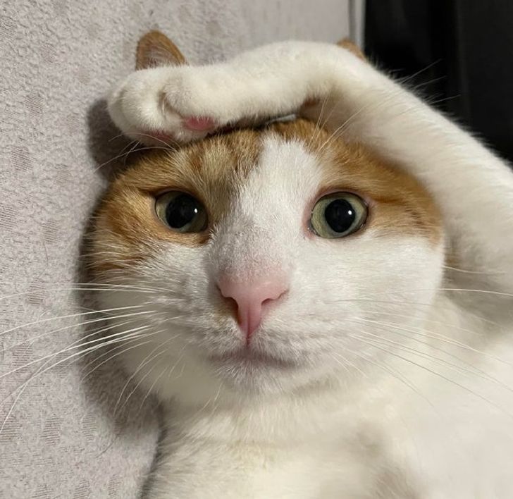 dd94505dae8088cbef6ba6f799 dd94505dae8088cbef6ba6f799