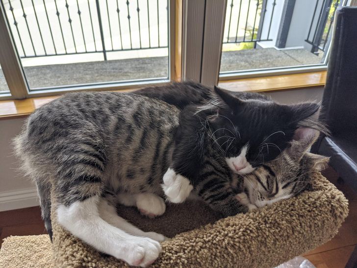 dda13350739a4ecdcd146cf805