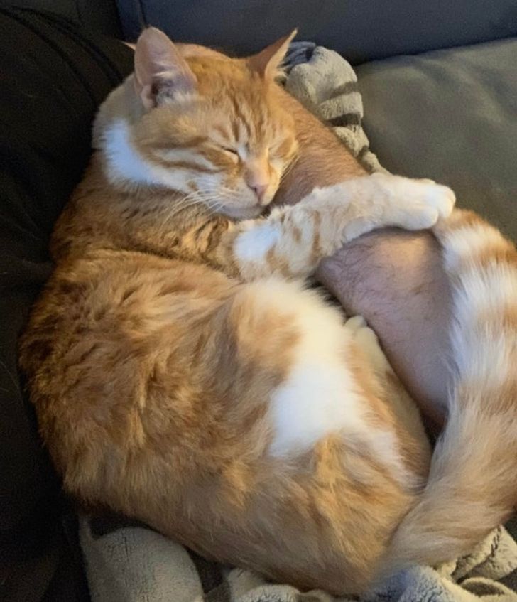 dda65e5b20a91debd9e2e8439a