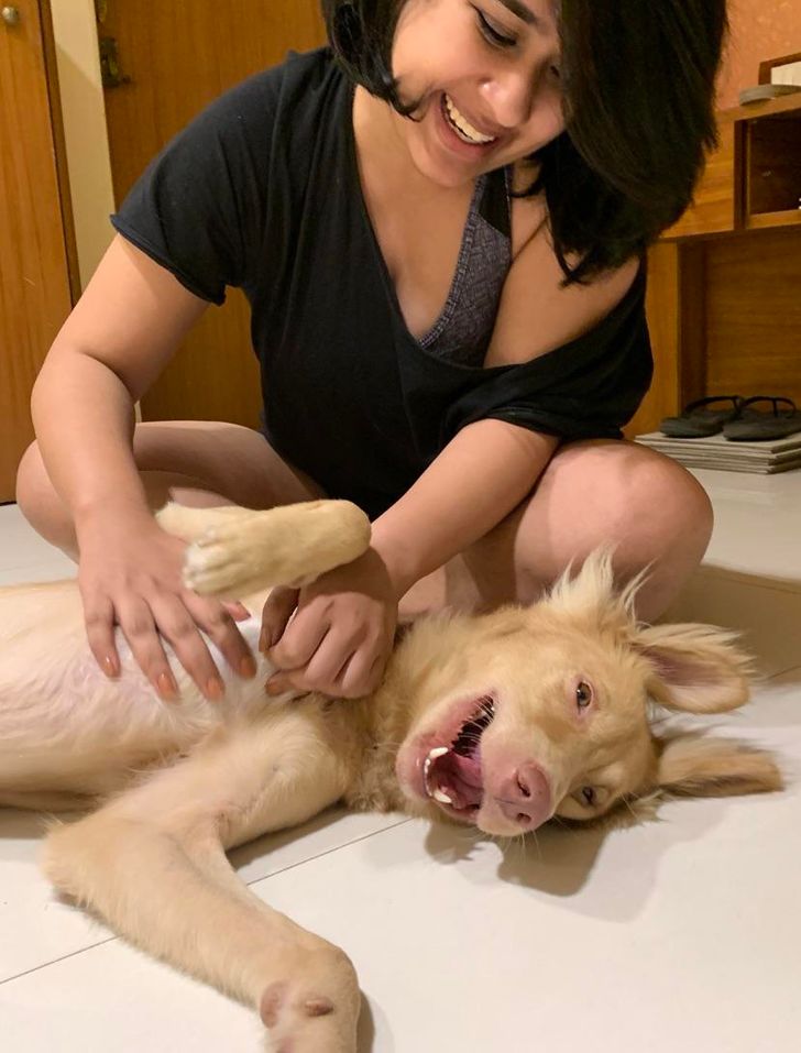 ddb54c5a759716cdd9a6544fa6