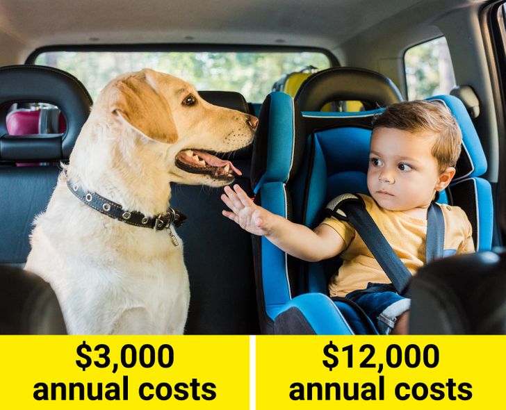 ddb7e85dada52b1c517f6d94cd