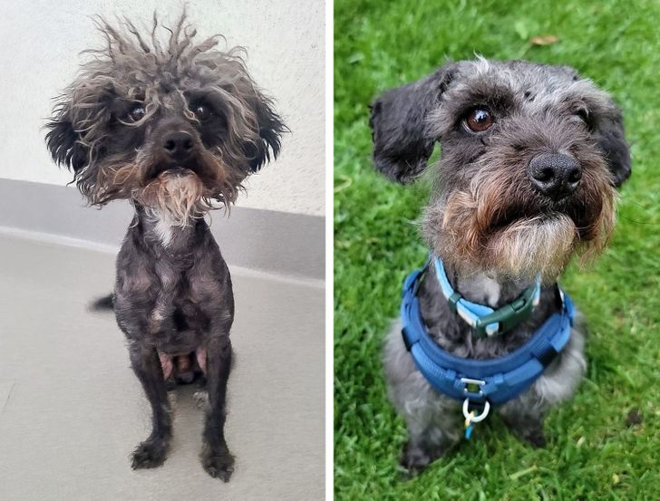 ddbc875f269645041b49d7045c