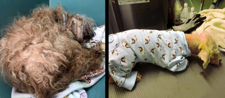 ddbc9f5c6aaaee0e96824c3965