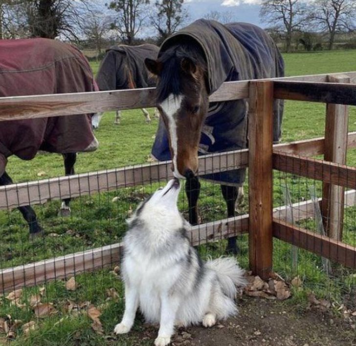 ddc0d15e35b50494171a302490