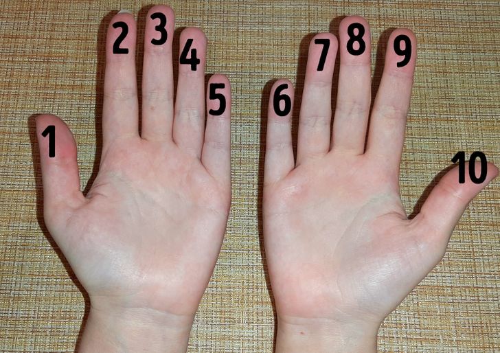 ddc33a5c7c8d496483ee578234 ddc33a5c7c8d496483ee578234