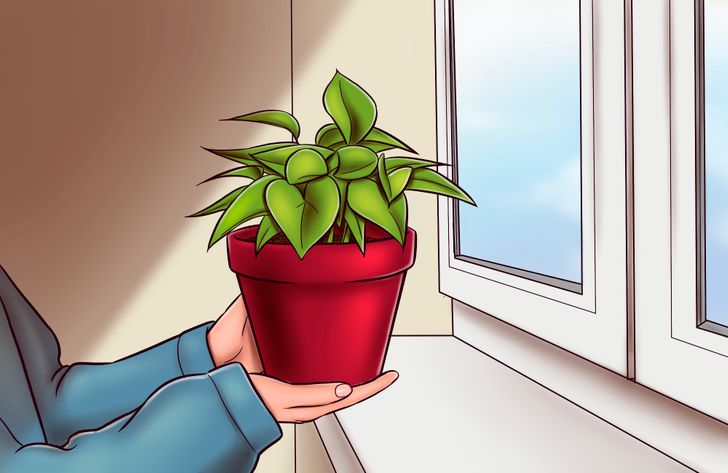 ddc4795139a2d517213477b481