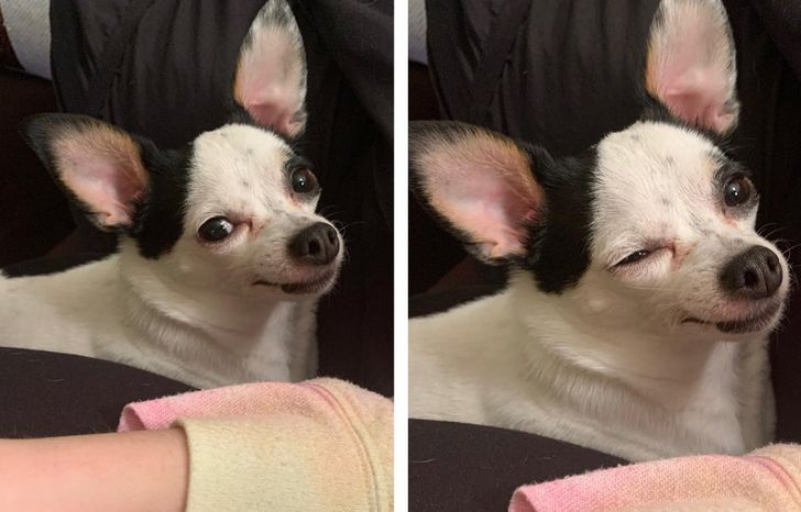 ddcac35e71bd40d6f6b1a85d7c