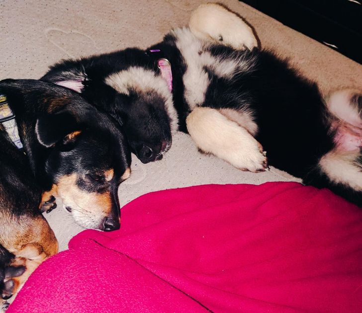 ddd0ba528fabc3795044ca18bc