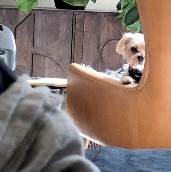 ddd24653c7b104d113b96d4f0a