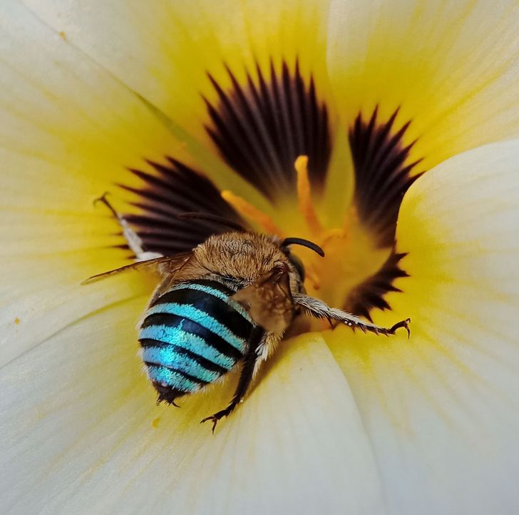 ddd66650a9a9c22adbcb456d2d