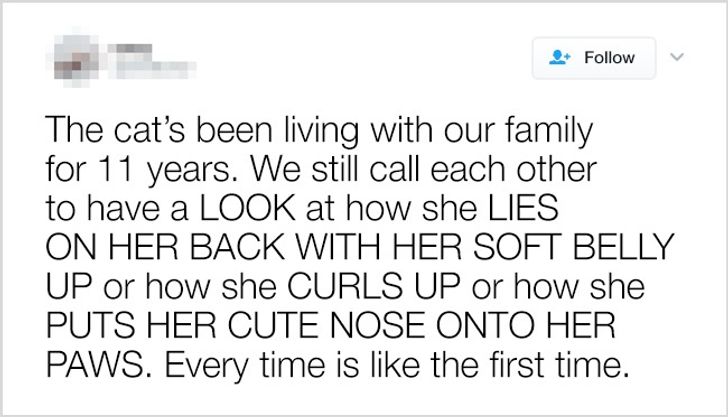 dddee6562f9b461b98c2c62026