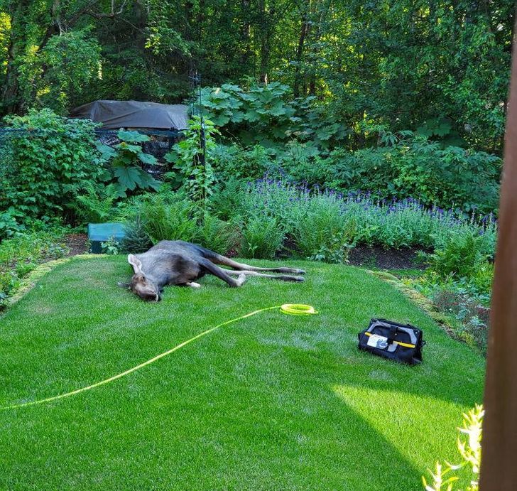 dde1fa5281856fc25af0fbe4e4