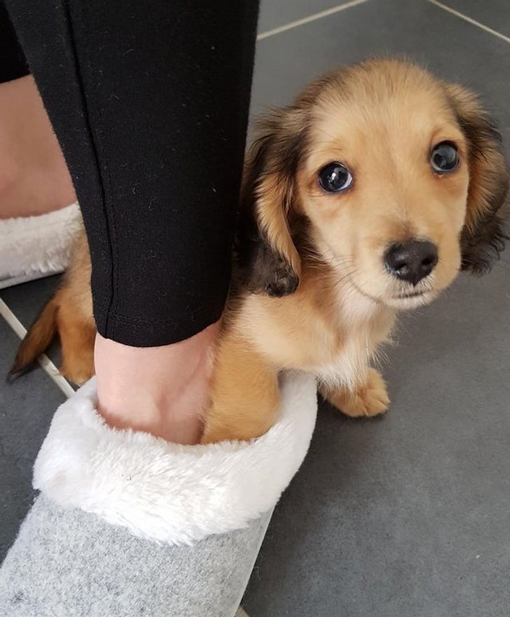 dde29555c3a03ac42c126d0af9