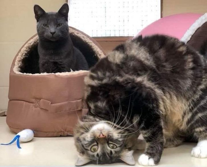 dde89157138f082b07e06735b2