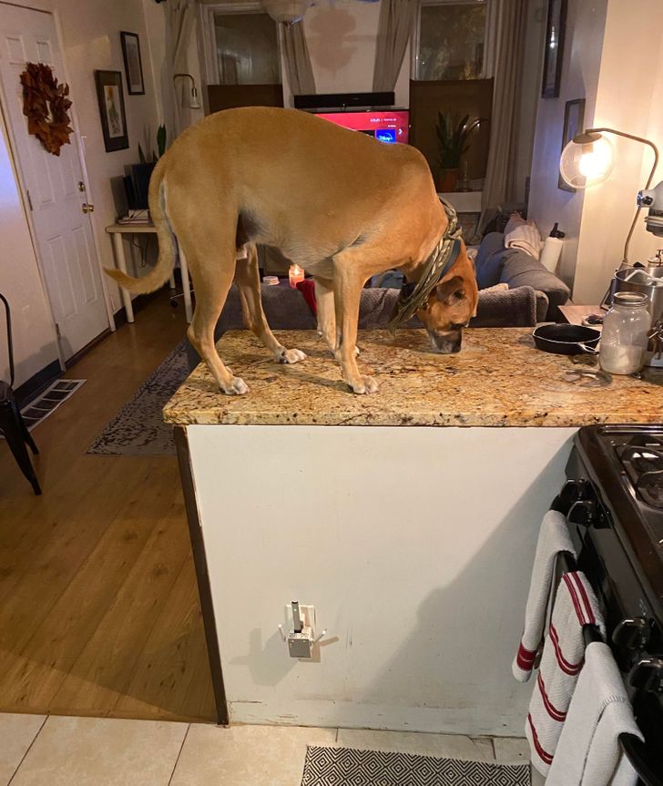 ddf028510388e6012528d64b99 ddf028510388e6012528d64b99