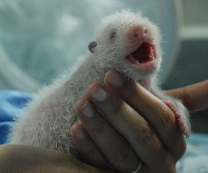 ddf2245ad6b794716b0e03cda8