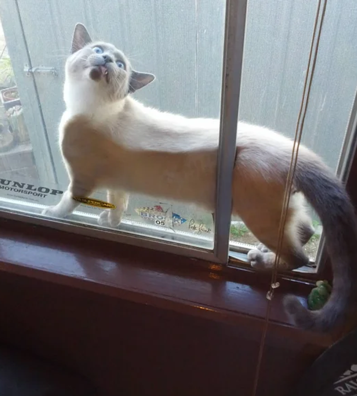 ddfb4e541c9c504f8478739630