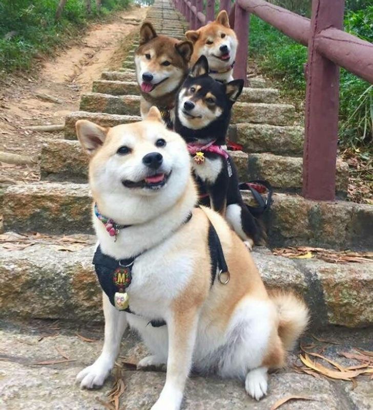 ddfb9554e69745799750181e49