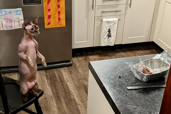 ddfe115de78805b558dab0eac0