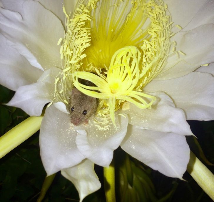 de004457e6b45813f9b1fa164d de004457e6b45813f9b1fa164d