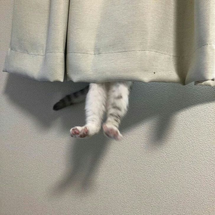 de049f59c6861a93249ee240c3