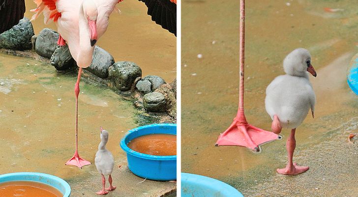 de05a456f28ad98ed3750bec24