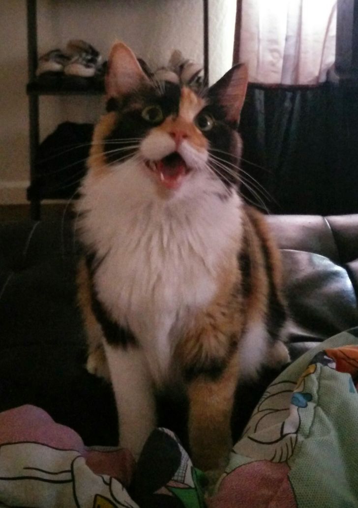 de093258c3b813012cb059af9e