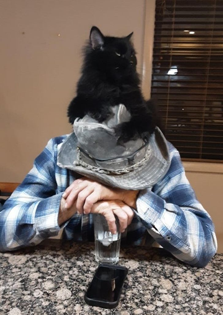 de10ba5a6994edb9e7397b7cd9