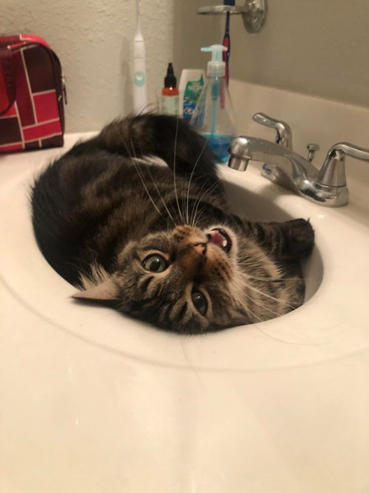 de146357e581ae9551745715ae