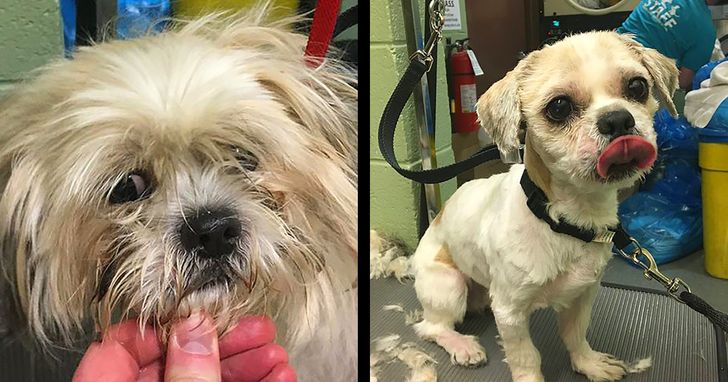 de15d15002b065e4c1ae87139a