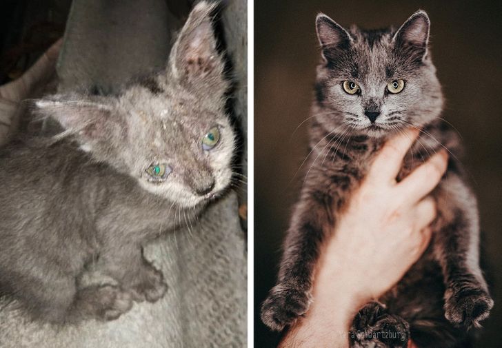 de1ae75531978f7380b5b0ce3d